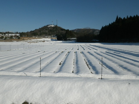 RIMG1281