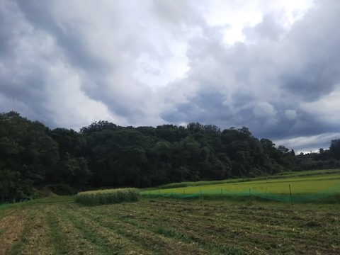 DSC_0814-816x612