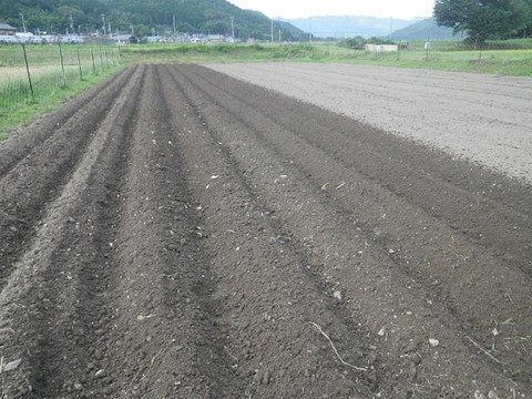 RIMG0598