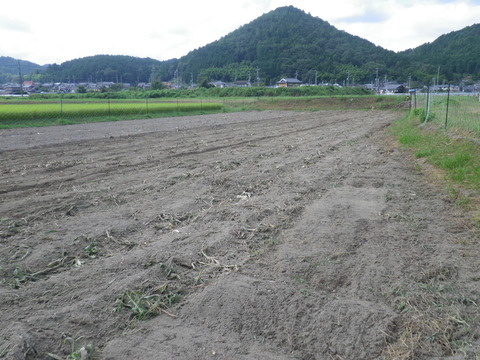 RIMG0542