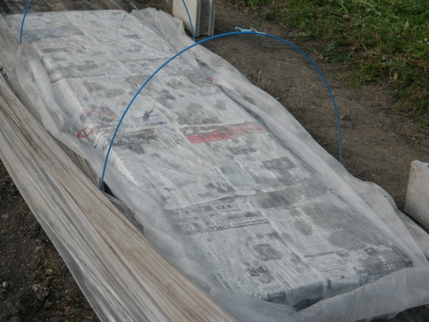 RIMG0300