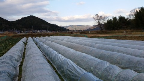 20171220_153720
