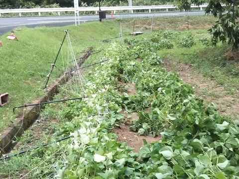 DSC_0324-816x612