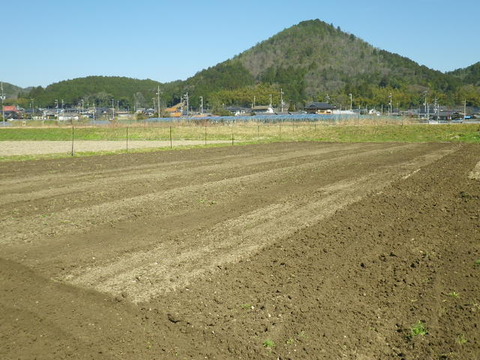RIMG0209