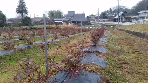 20171229_161445