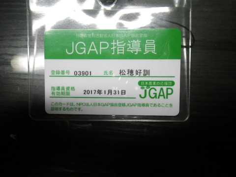 RIMG1243