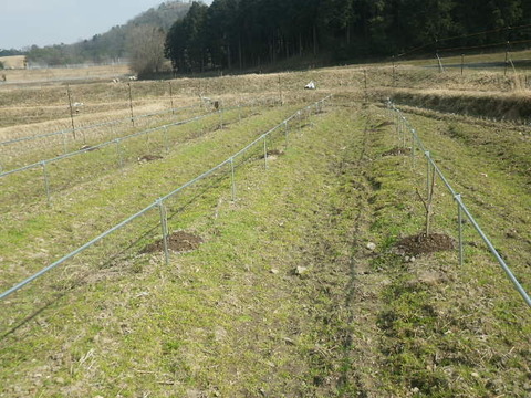 RIMG0991