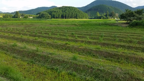 20160728_172928