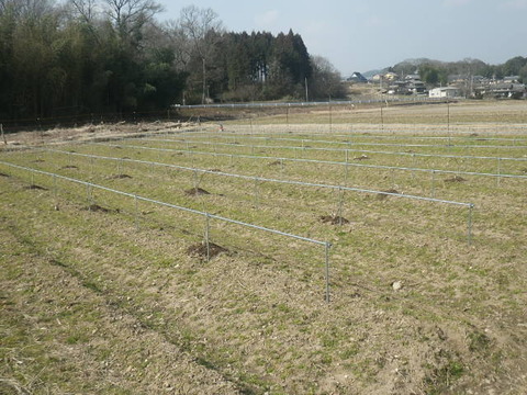 RIMG0990