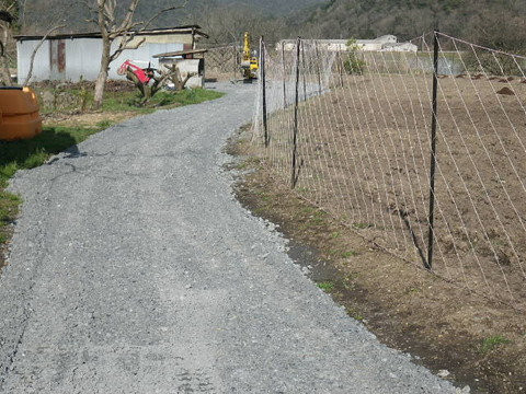 RIMG0223
