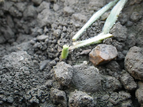 RIMG0375