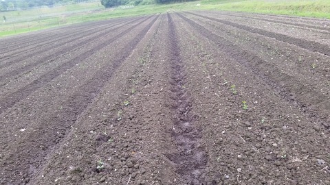 20170627_163941