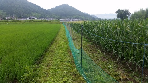 20170627_072717