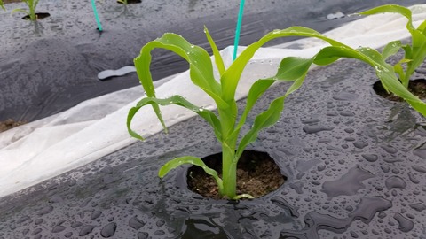 20170426_173546