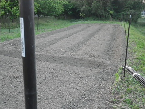 RIMG0381