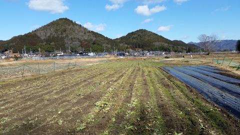 20180204_105803
