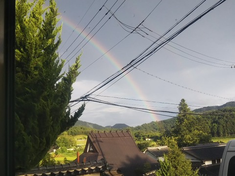 DSC_0816-816x612