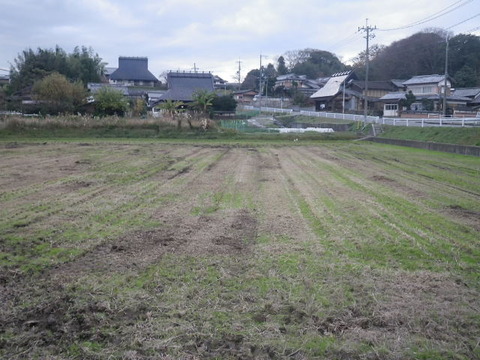 RIMG0820