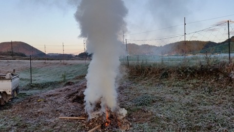 20161217_072112