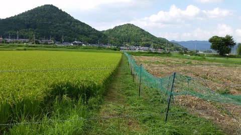 20170806_161330