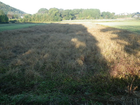 RIMG0757