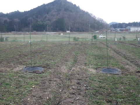 RIMG1005