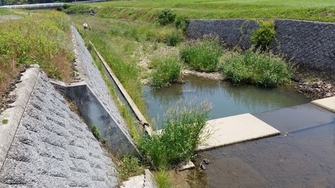 20170530_110904