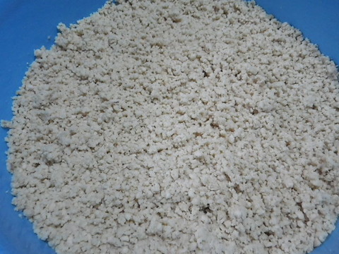 RIMG1312