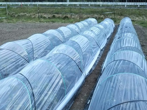 DSC_0109_HORIZON-1305x978