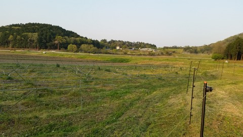 20170430_174648