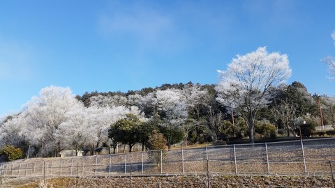 20180204_085314 (1)