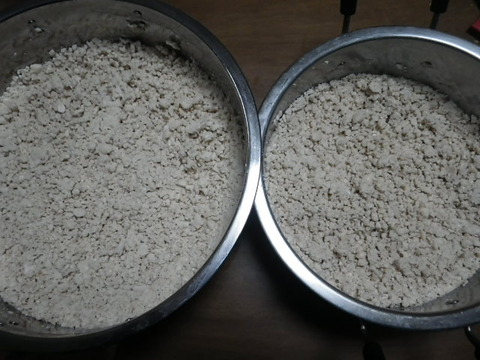 RIMG1311