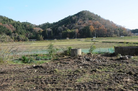 井戸遠景