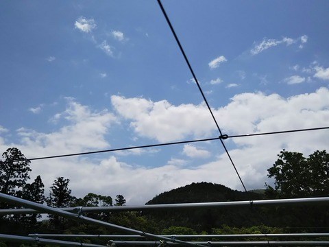 DSC_0128_HORIZON-1196x897