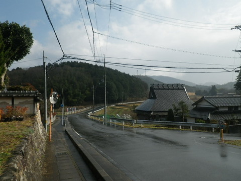 RIMG1240