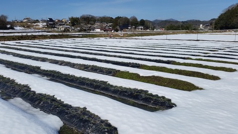 20170128_120914