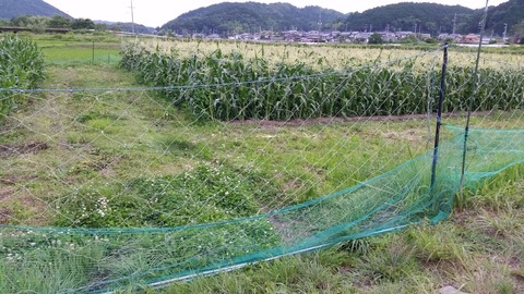 20170626_173327