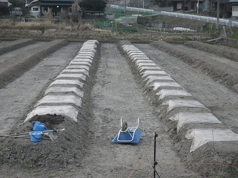 RIMG1072
