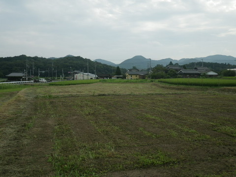 RIMG0534