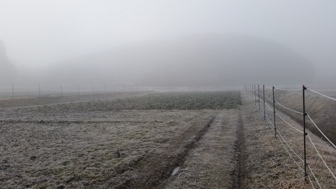 20180204_081006