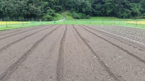 20160828_101407