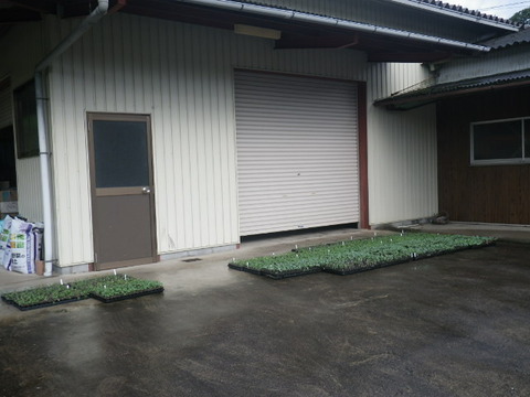 RIMG0573