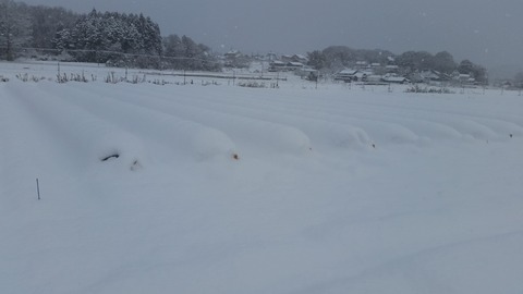 20180125_085012