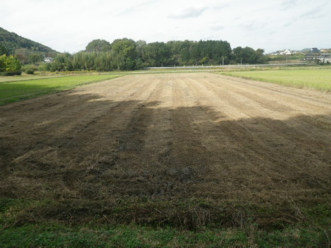 RIMG0758