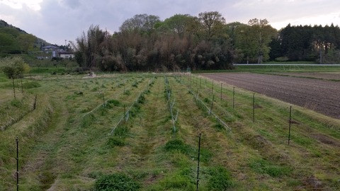 20170429_175926