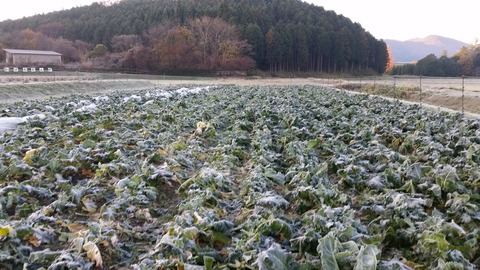 20171124_071109