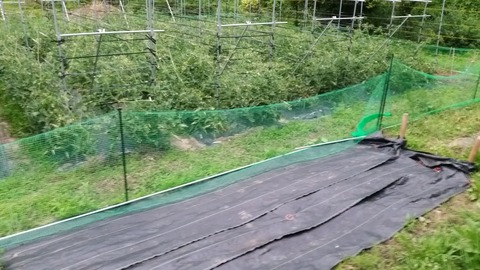 20160627_190228