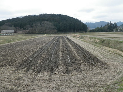 RIMG1345