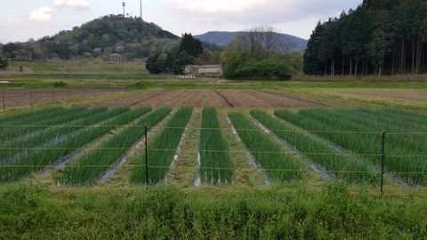 20170429_180029