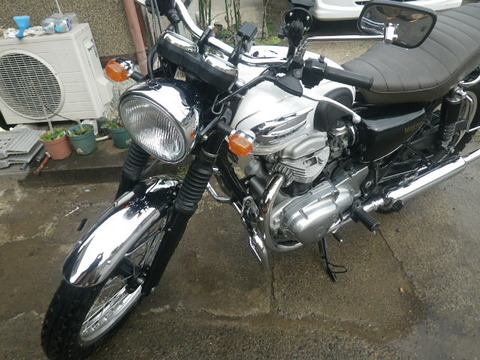 RIMG1023